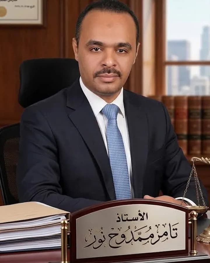 Tamer Mamdouh Nour